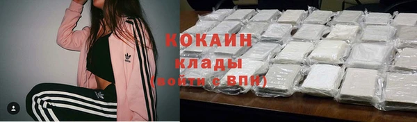 СК Надым