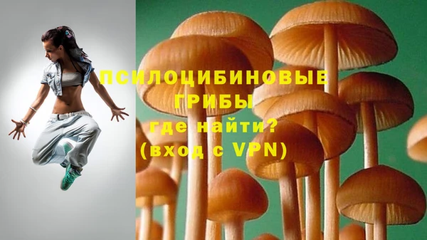 СК Надым
