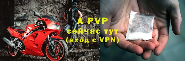 СК Надым