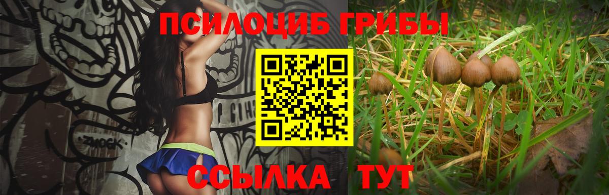 Галлюциногенные грибы Magic Shrooms Владимир