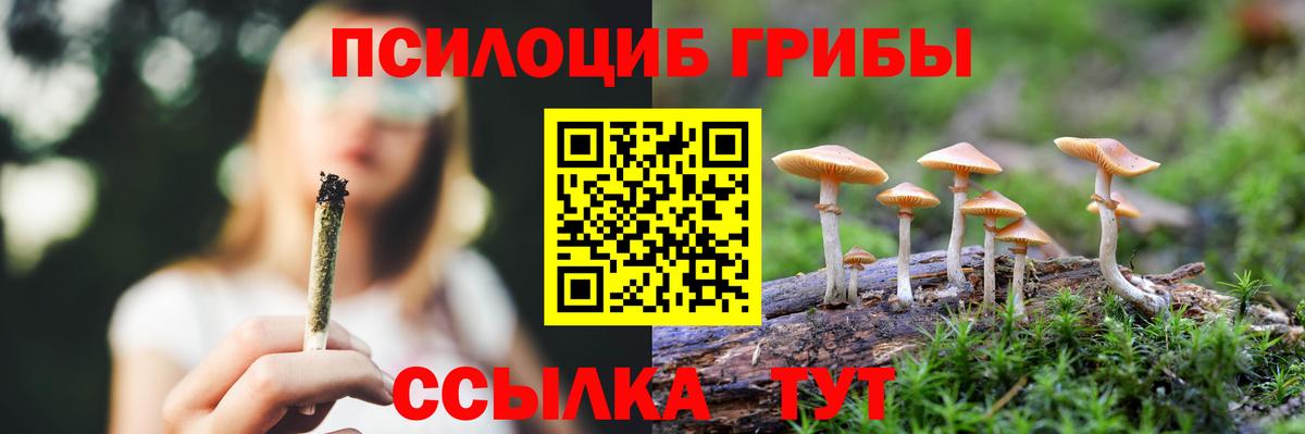 Галлюциногенные грибы прущие грибы  Вход с VPN  Владимир 